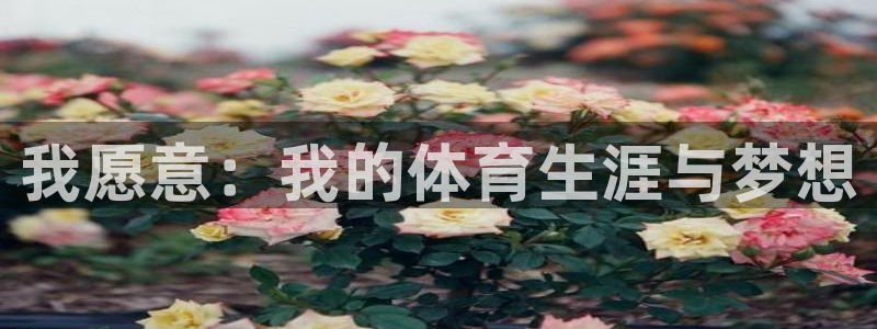 xc体育app官方网站