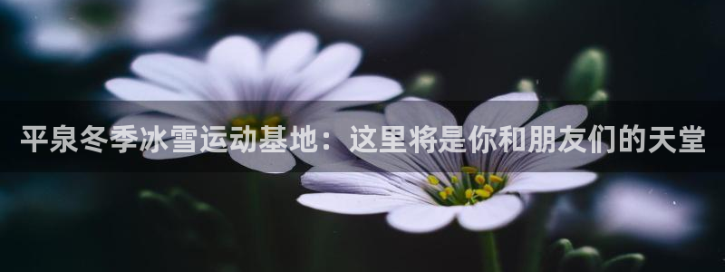 xc体育app官方网站