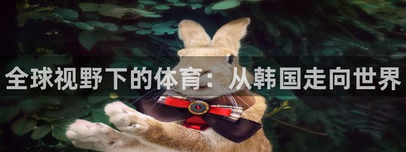 xc体育