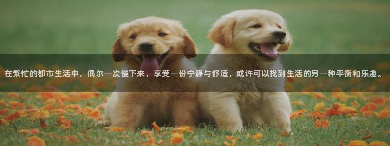 xc体育app官方网站