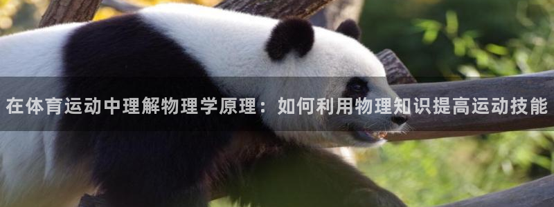 xc体育app官方网站