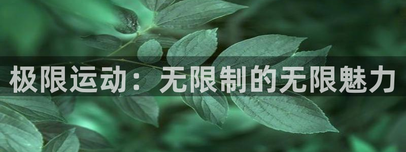 xc体育