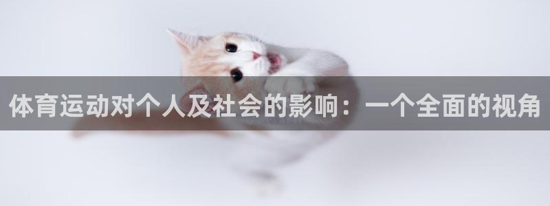 xc体育app官方网站