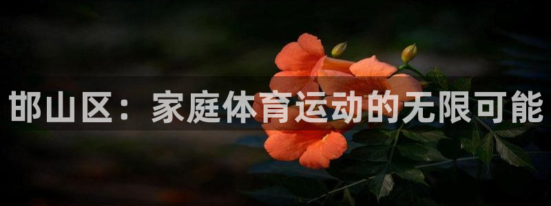 xc体育