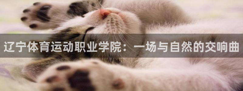 xc体育app官方网站