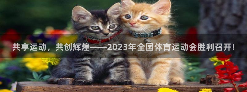 xc体育app官方网站