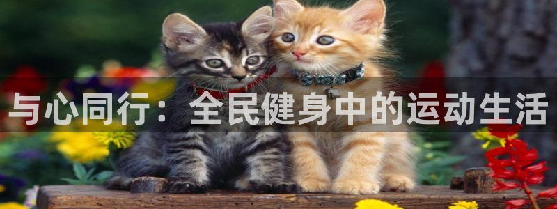 xc体育app官方网站