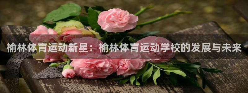 xc体育app官方网站