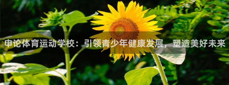 xc体育