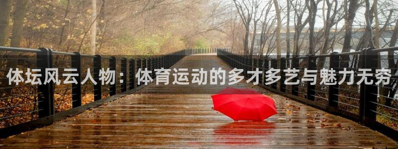 xc体育app官方网站