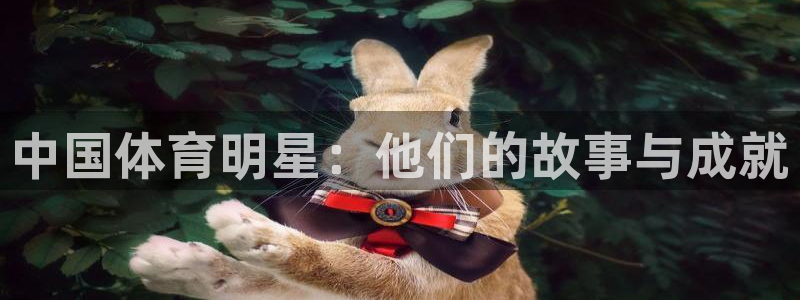 xc体育app官方网站