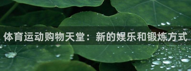 xc体育app官方网站